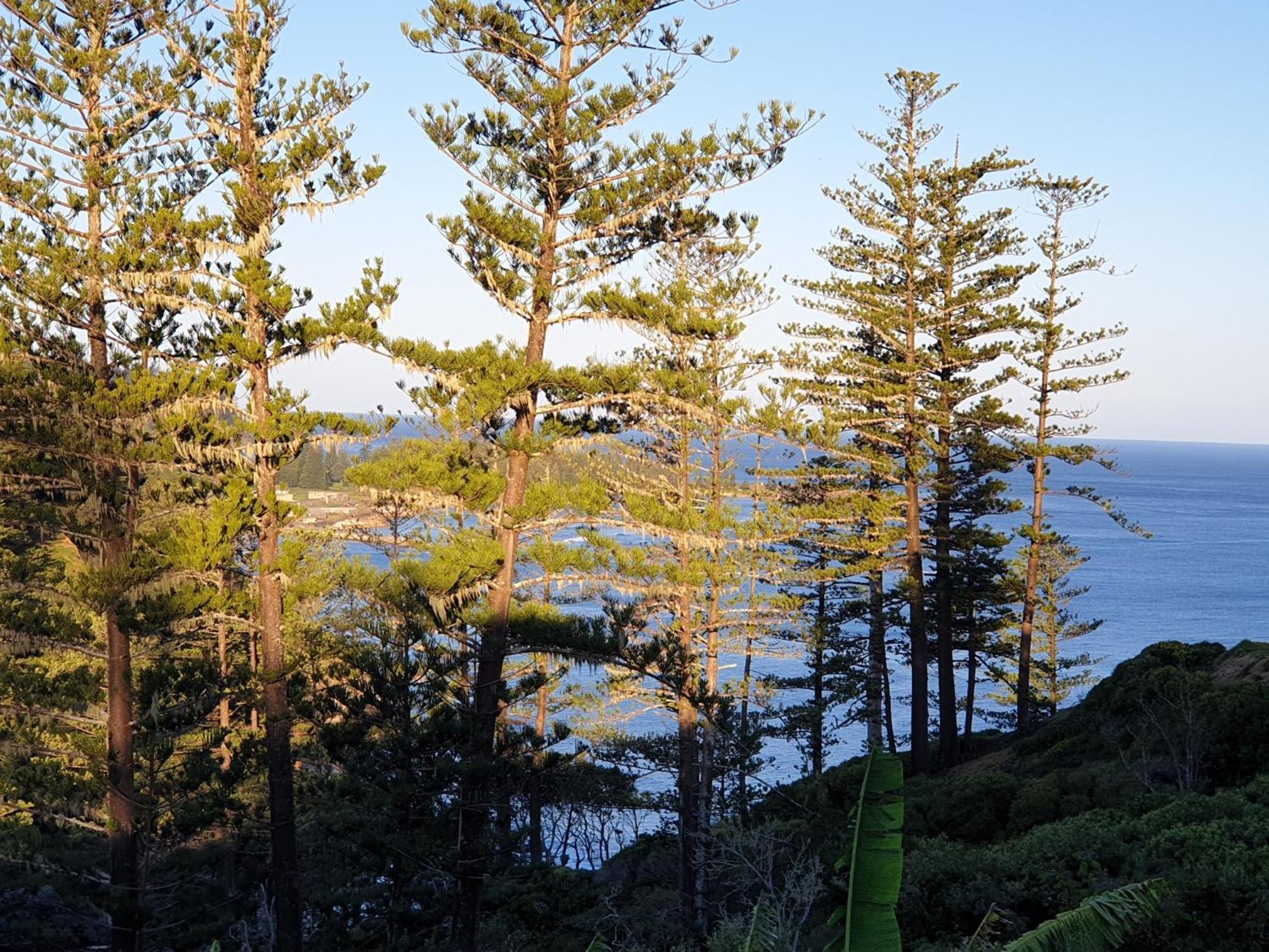 Shearwater Scenic Villas Burnt Pine Bagian luar foto